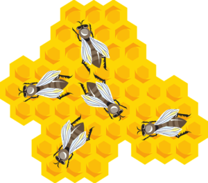 Méhekkel álmodni