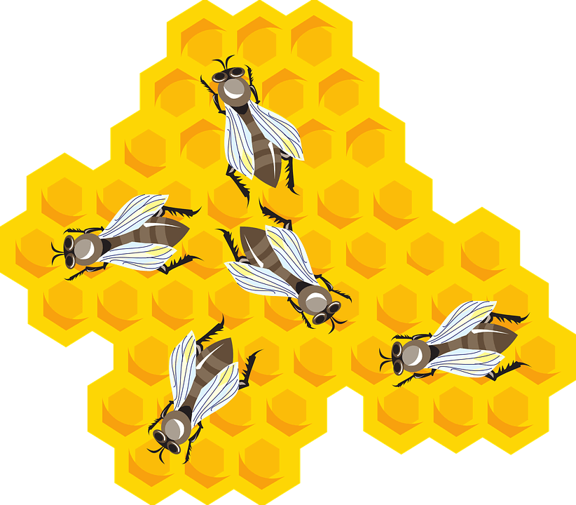 méhekkel