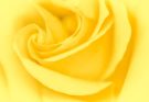 Sárga színről álmodni mit jelent - Álomfejtés
