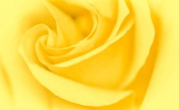 Sárga színről álmodni mit jelent - Álomfejtés