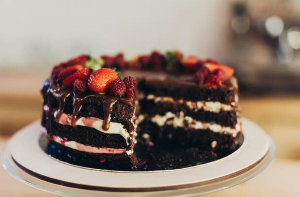 Tortával álmodni mit jelent - Álomfejtés